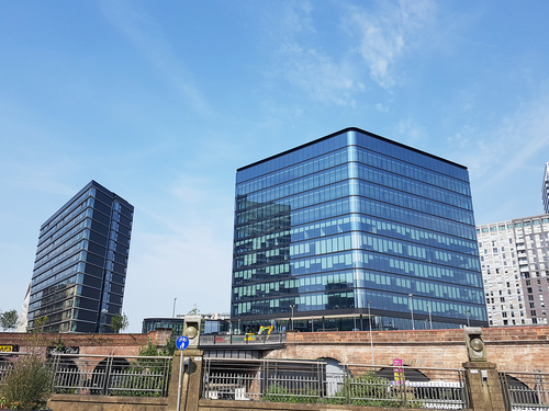 Blue Whale Media shares our insights about working in an office in Manchester